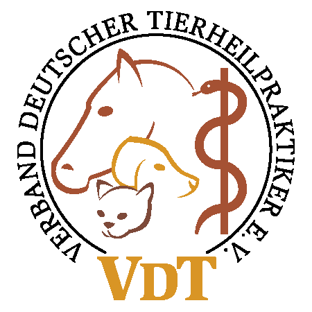 VDT Logo